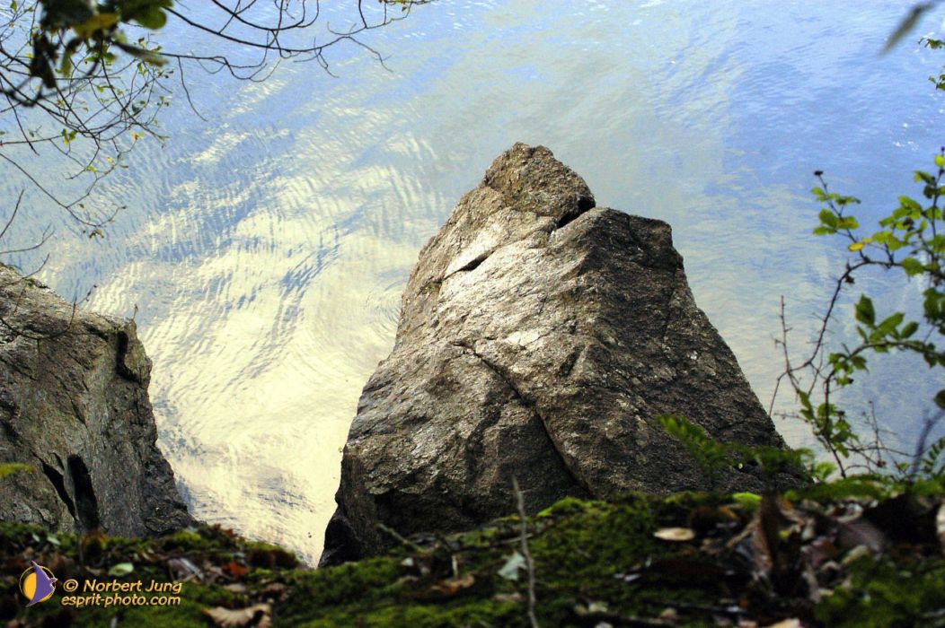 Nom de l'image : D1007117-01_(c)Norbert-JUNG — Description :